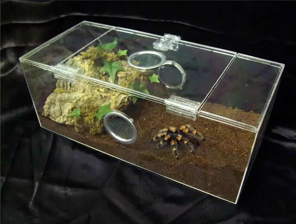 20835 tarantula enclosure ventilation