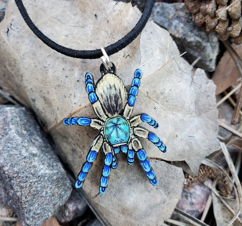 20843 blue island tarantula threats