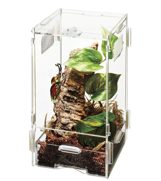 20846 tarantula enclosure setup