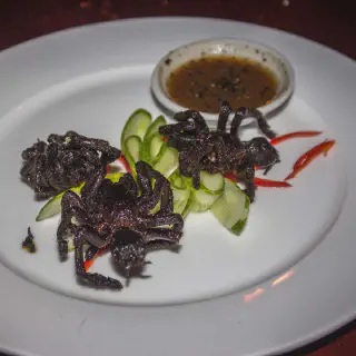 /img/20867-tarantula-nutrition.webp