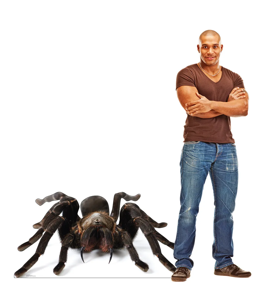 20873 tarantula handling
