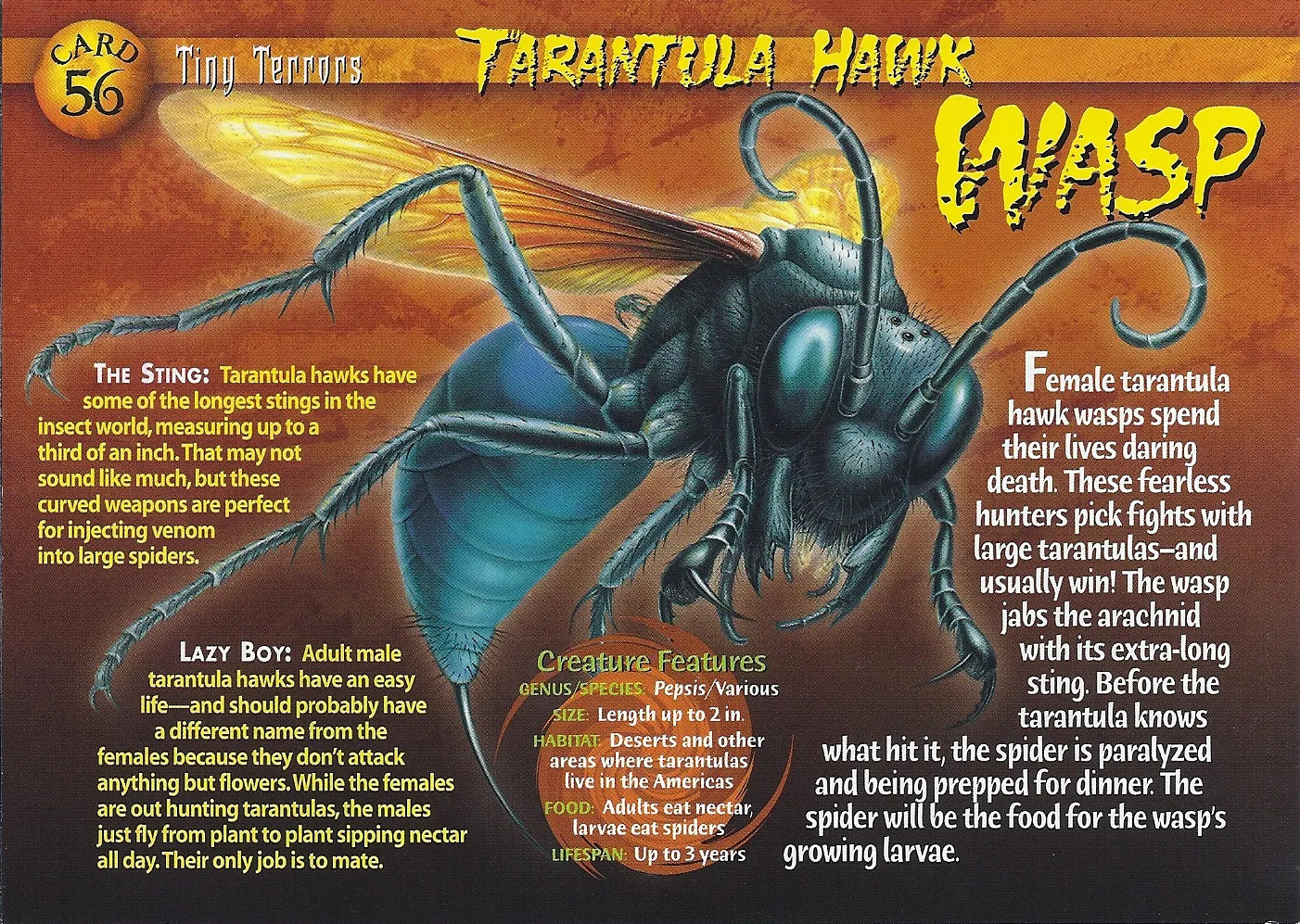20893 wasp sting