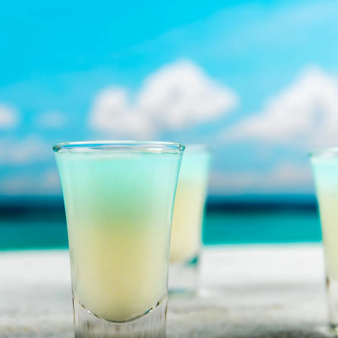 20904 tarantula azul margarita