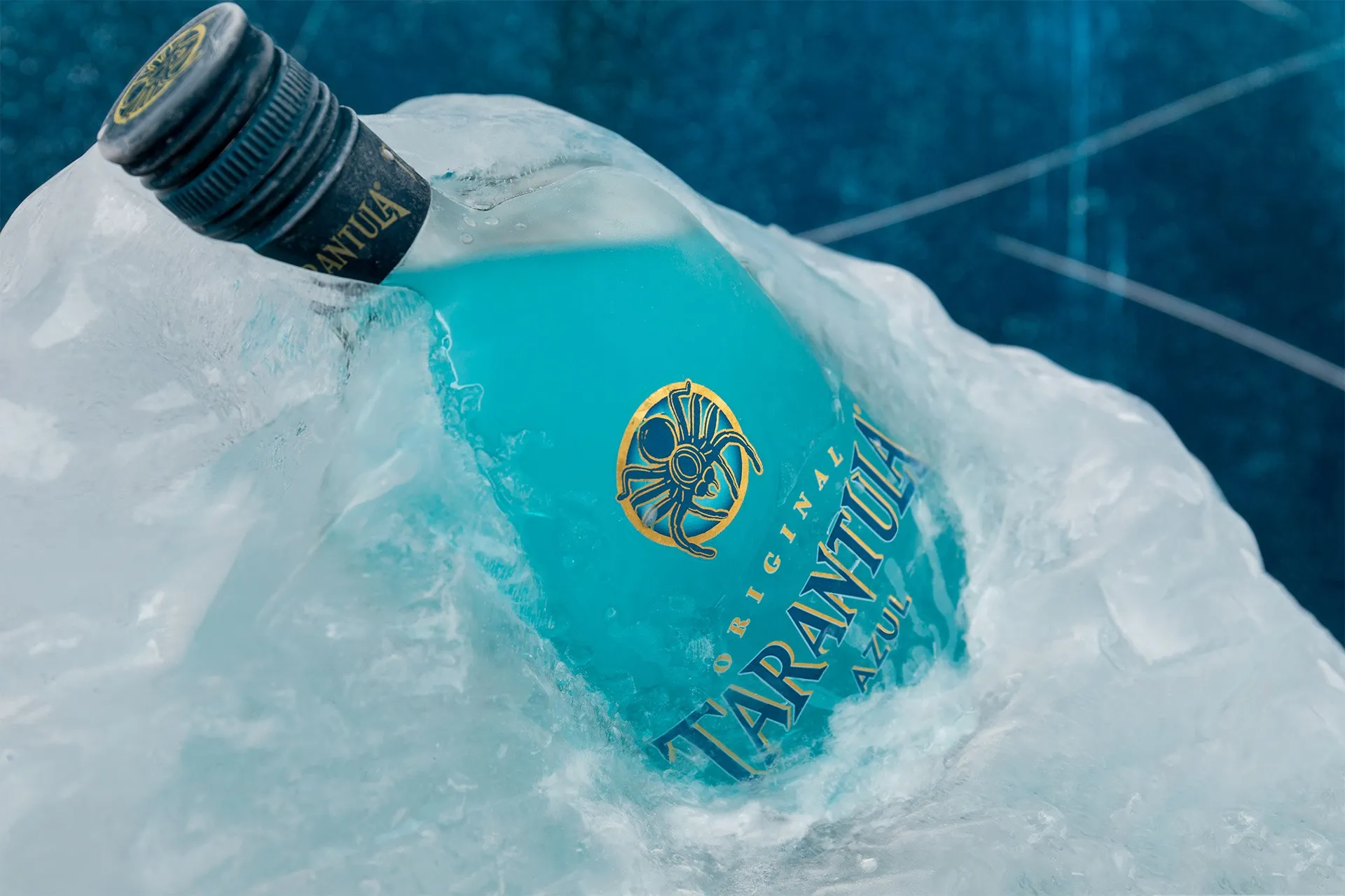 20904 tarantula azul soda