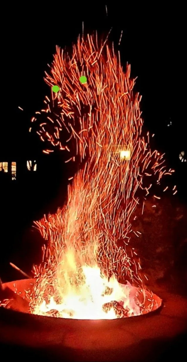 /img/20907-bonfire-tarantula-water.webp