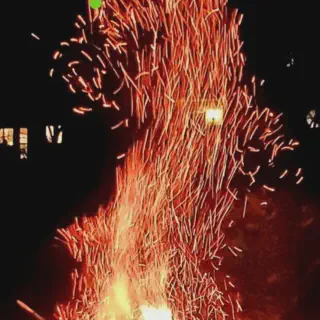 /img/20907-bonfire-tarantula-water.webp