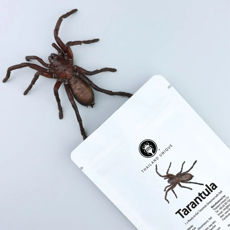 /img/20916-healthy-tarantula.webp