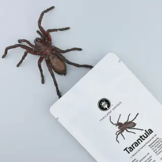 /img/20916-healthy-tarantula.webp