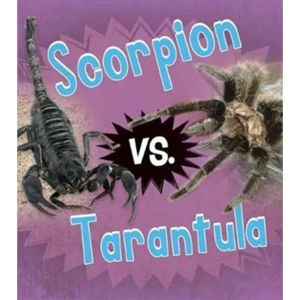 20949 tarantula vs vogelspin 1