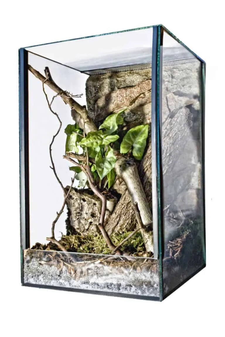 20952 tarantula enclosure substrate