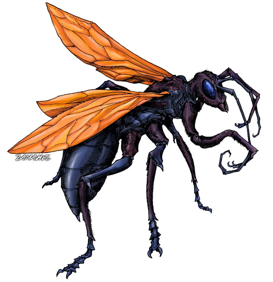 /img/20957-tarantula-hawk-wasp-conservation.webp
