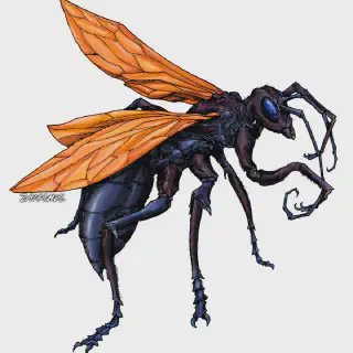 /img/20957-tarantula-hawk-wasp-conservation.webp