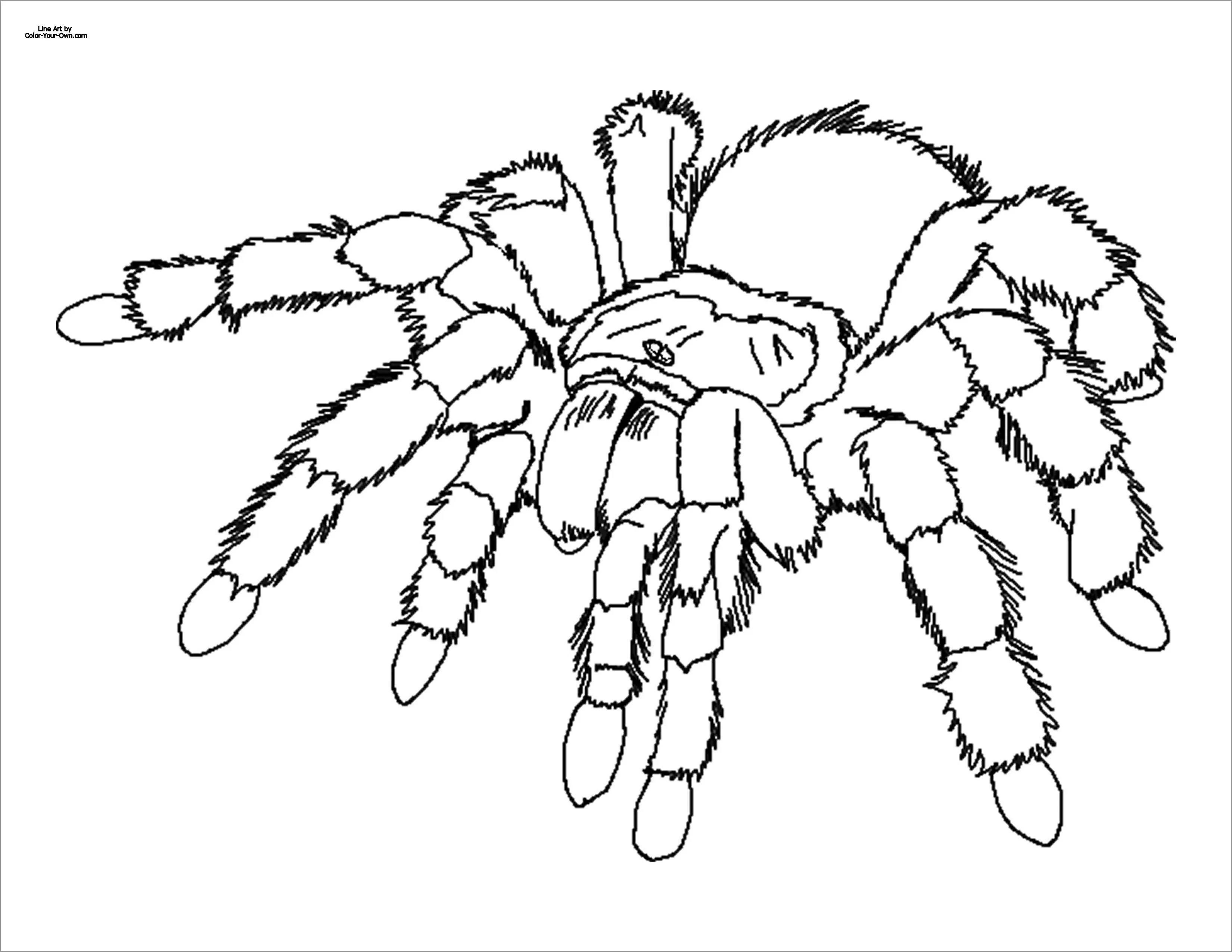 20963 shading example