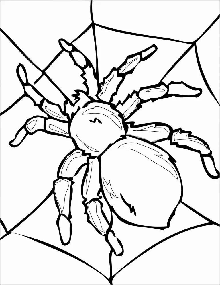 20963 tarantula coloring page 3