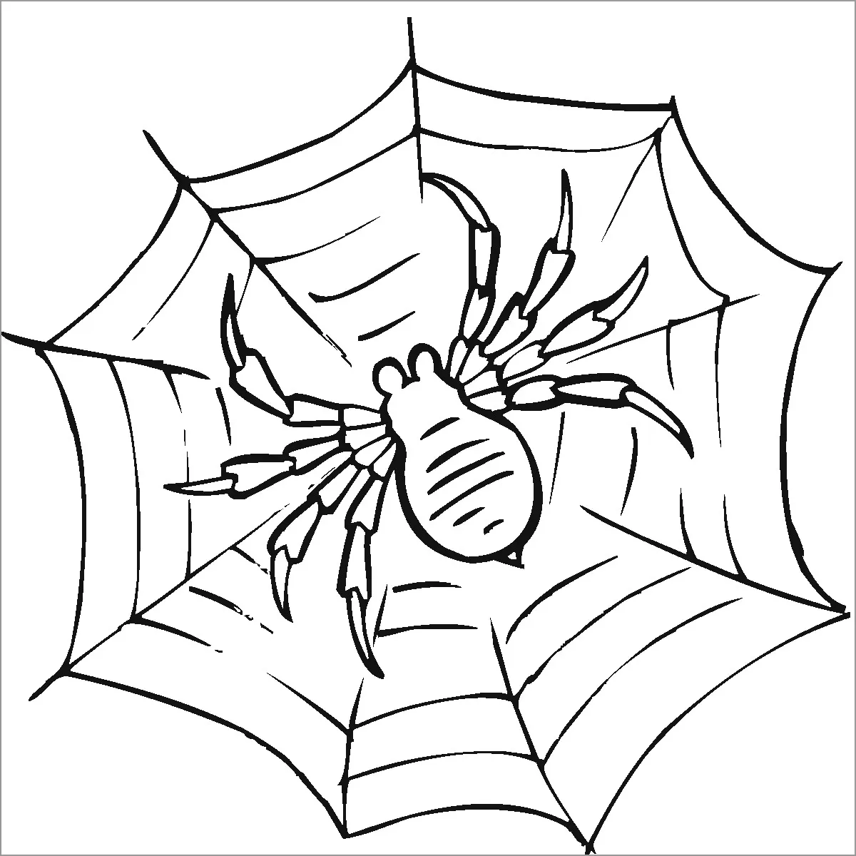 20963 tarantula coloring page 4