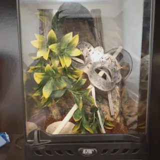 /img/20964-tarantula-enclosure-complete-setup.webp
