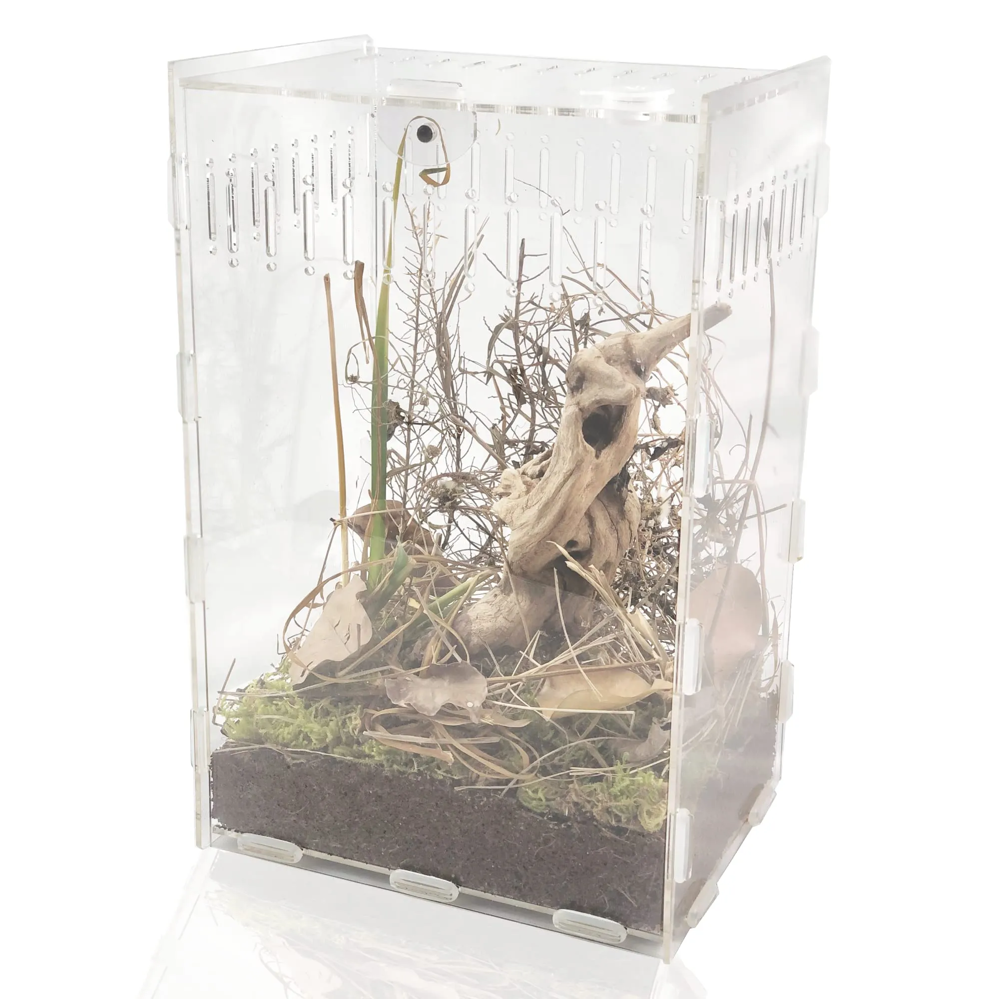 20964 tarantula enclosure decor