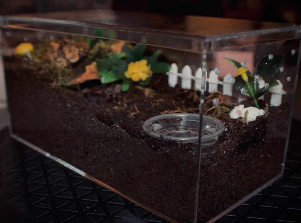 20964 tarantula enclosure setup