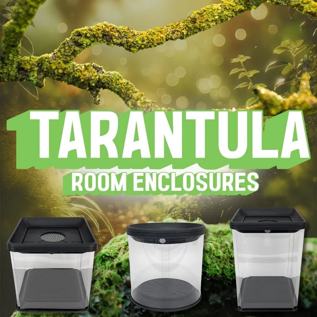 20970 minecraft tarantula enclosure substrate