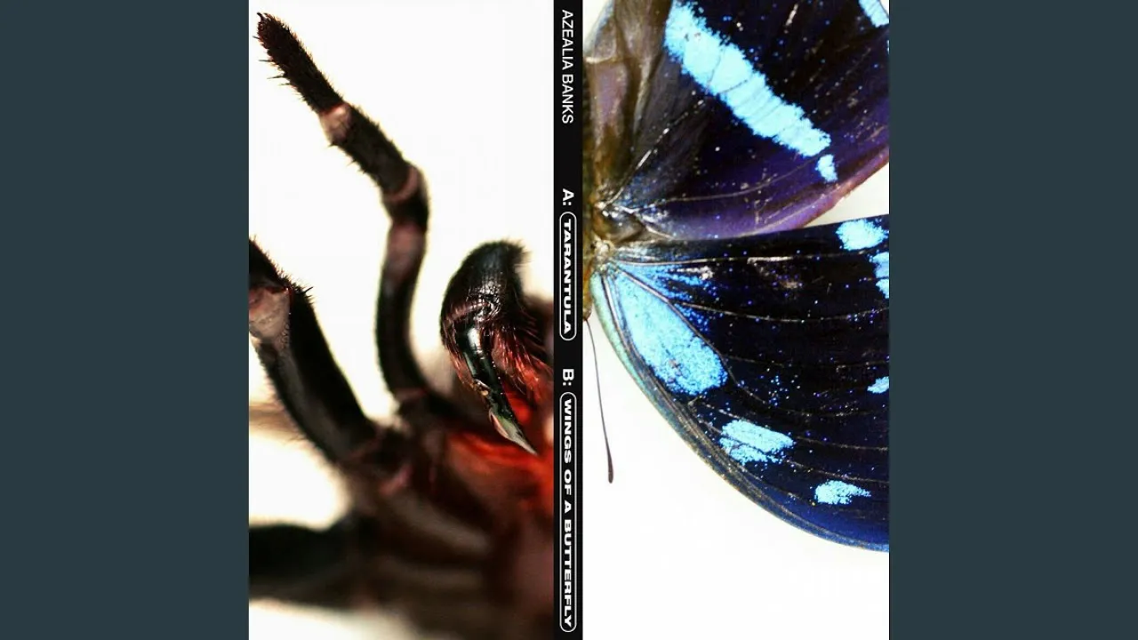 /img/20974-tarantula-rehousing-cleaning.webp
