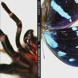 /img/20974-tarantula-rehousing-cleaning.webp