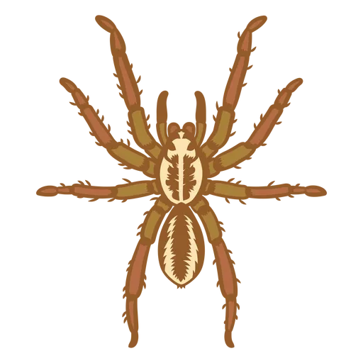 /img/20993-tarantula-png-resize.webp