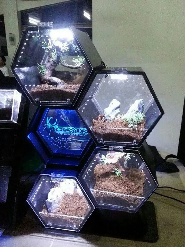 21029 tarantula enclosure overview