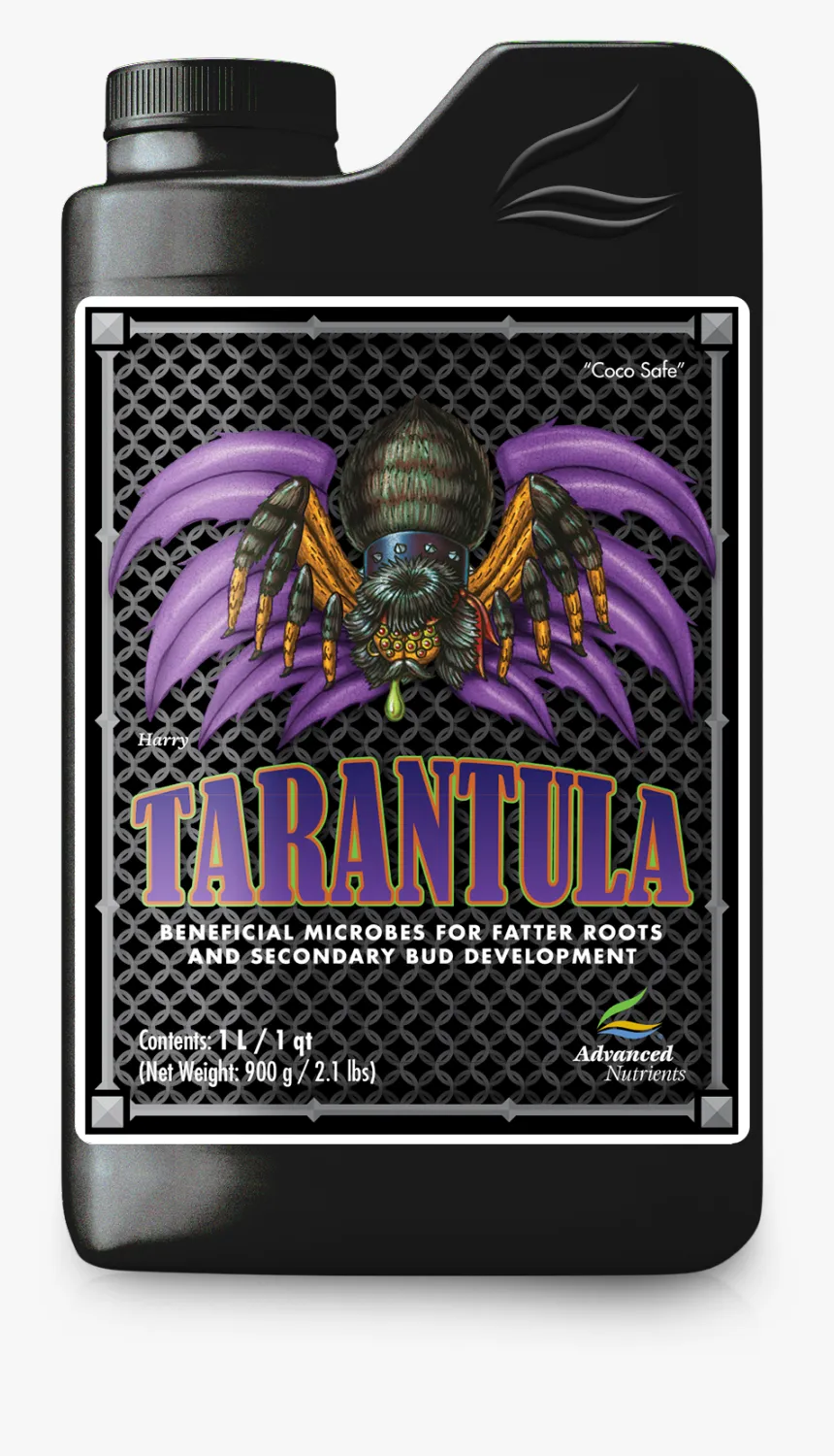 21031 juvenile tarantula