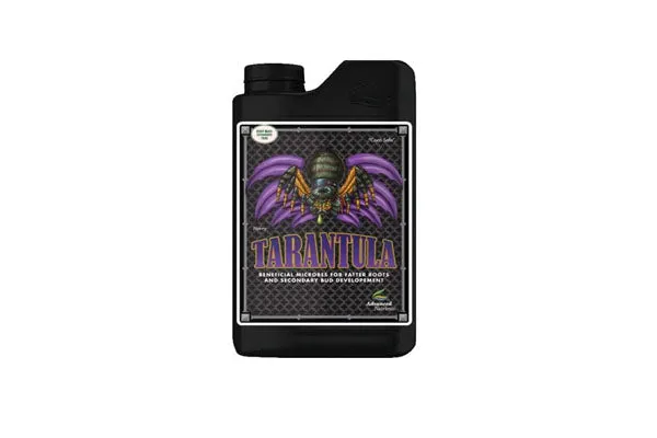/img/21031-tarantula-underfed.webp