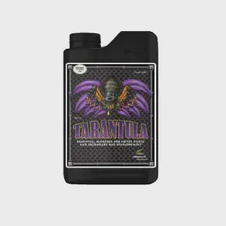/img/21031-tarantula-underfed.webp