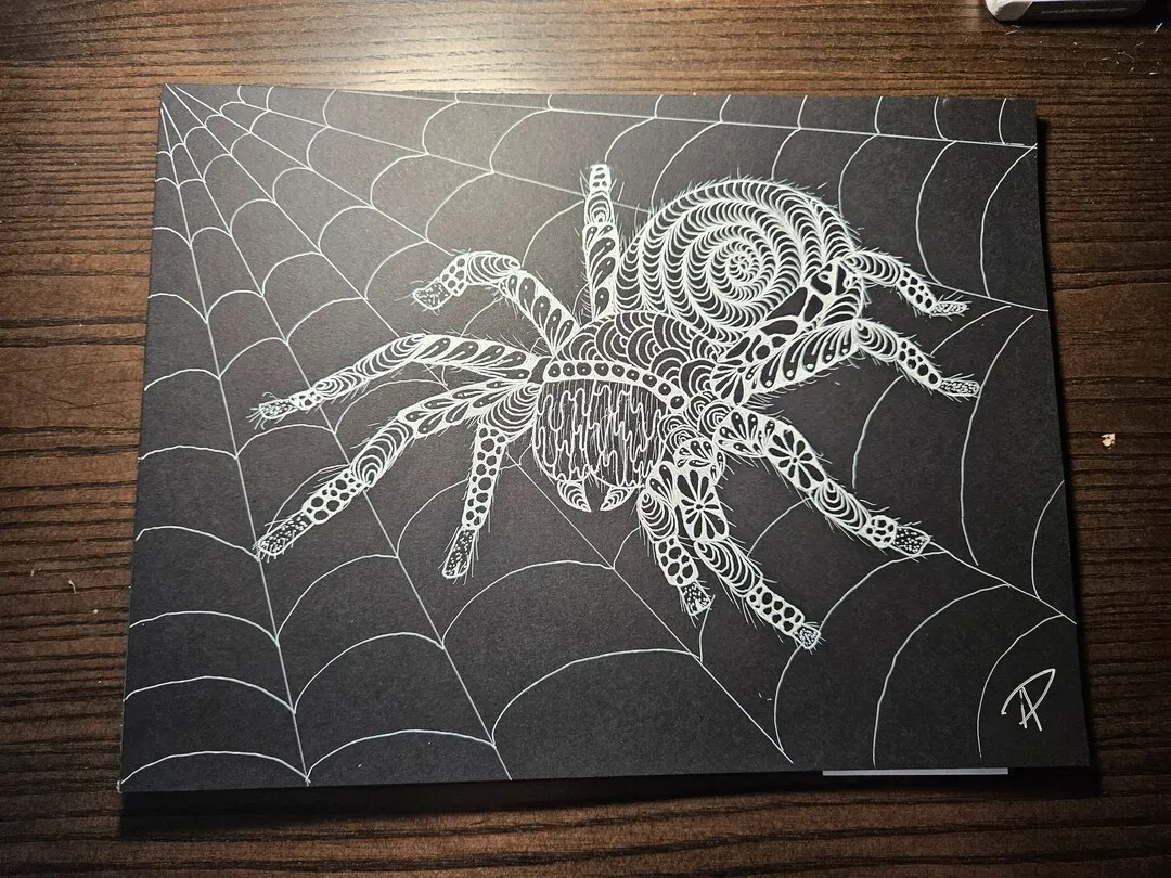 21033 tarantula drawing legs