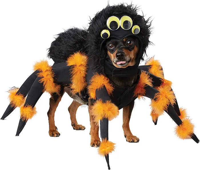 21054 dog costume safety