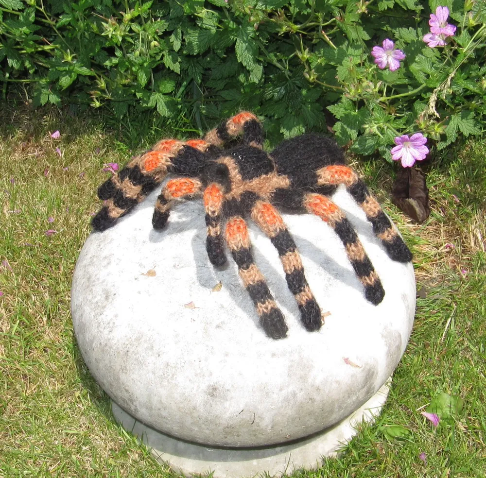 21075 tarantula habitat