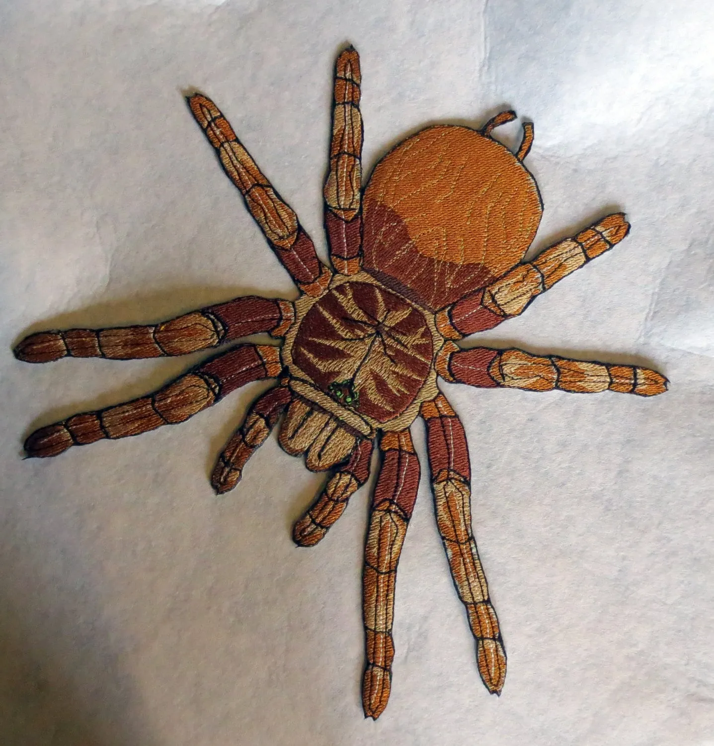 21076 goliath tarantula handling