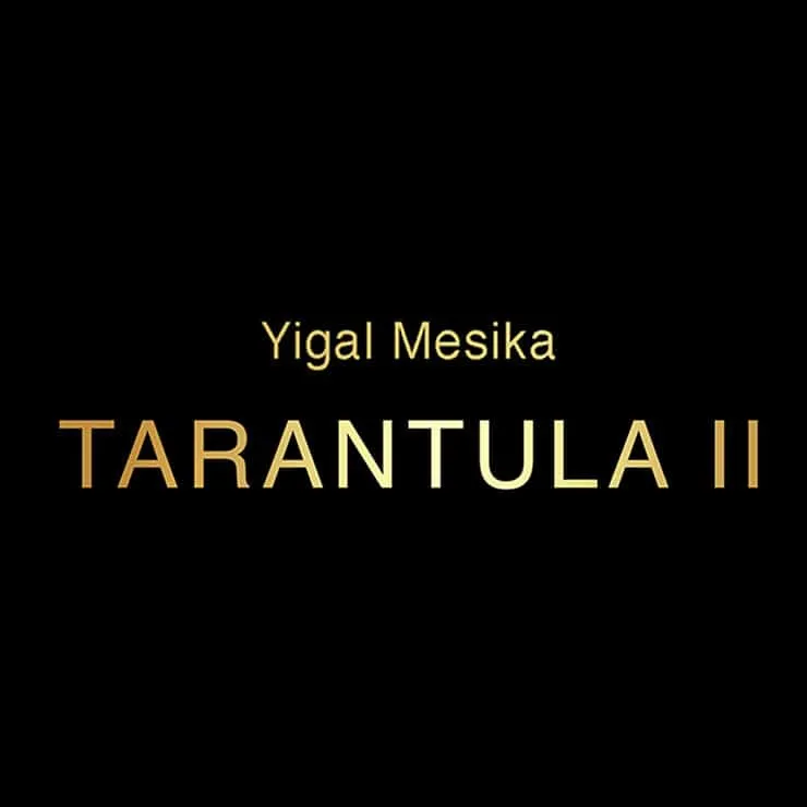 21080 magician performing tarantula 2